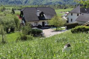 Apartments Tatjana Bovec